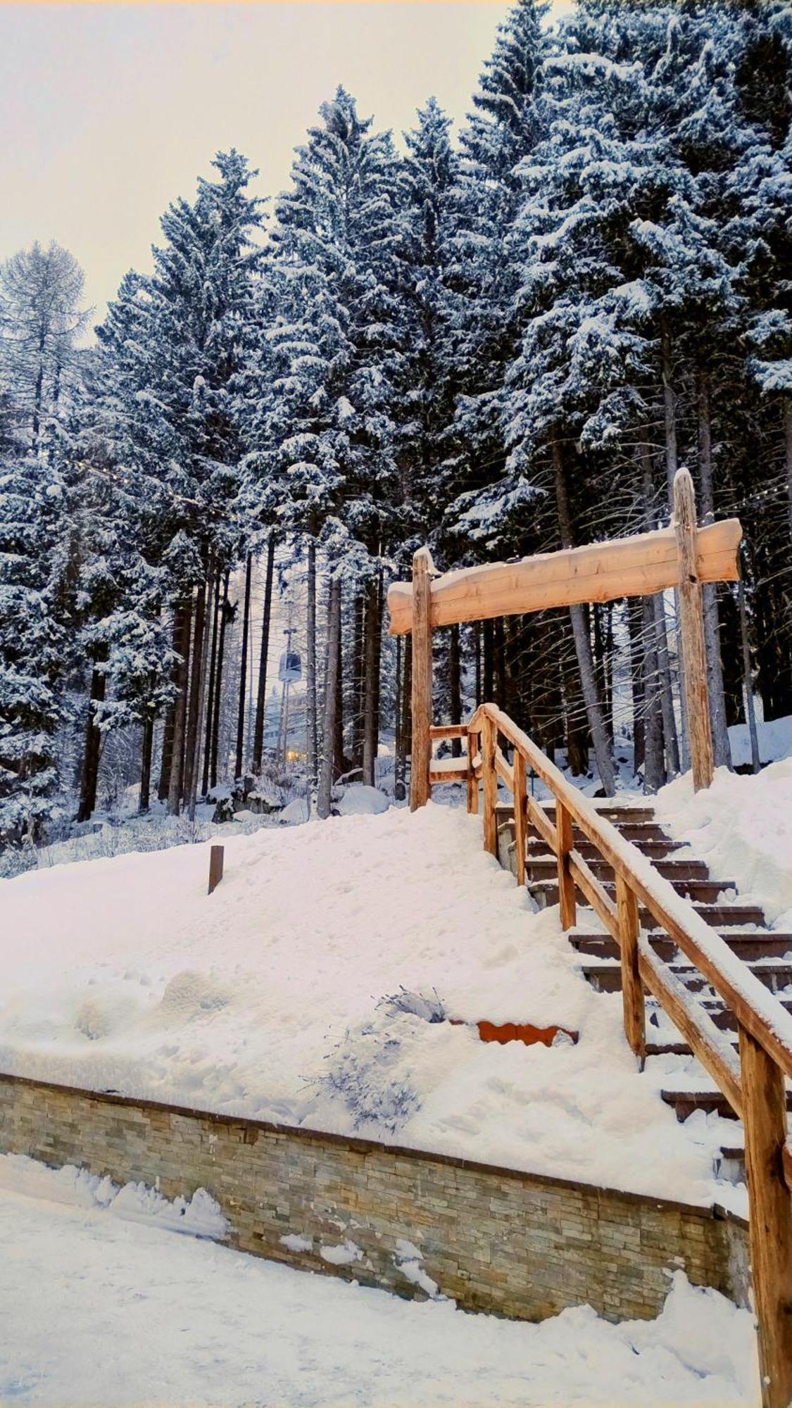 Ale 1206, Marilleva 1400 Accesso Diretto Alle Piste Ngoại thất bức ảnh